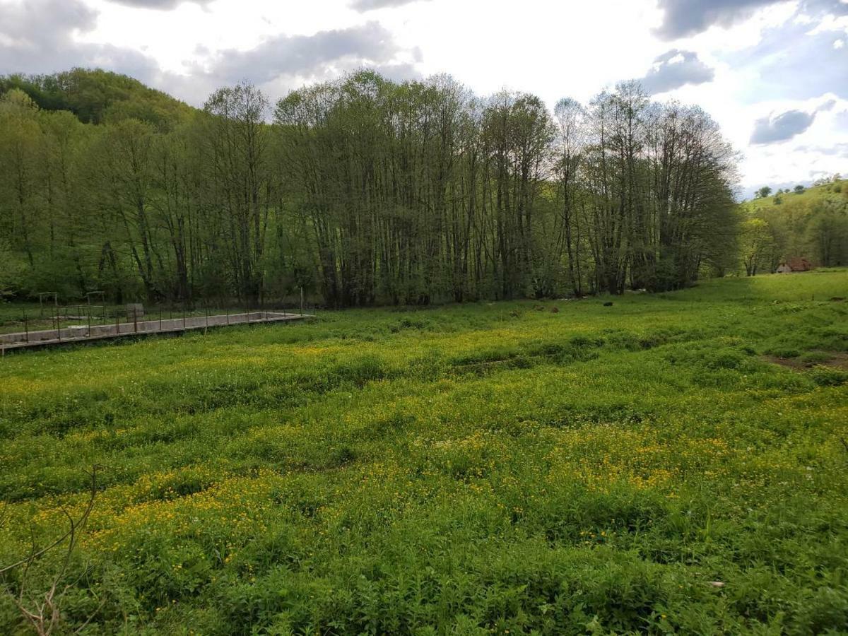 Eco Camp Dzogaska Vrela 호텔 플레블라 외부 사진